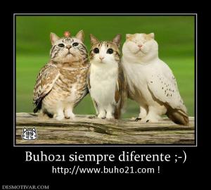 Buho21 siempre diferente ;-) http://www.buho21.com !