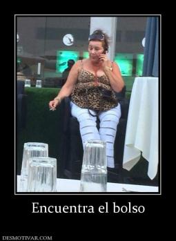 Encuentra el bolso