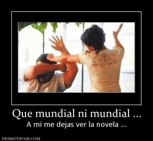 Que mundial ni mundial ... A mi me dejas ver la novela ...