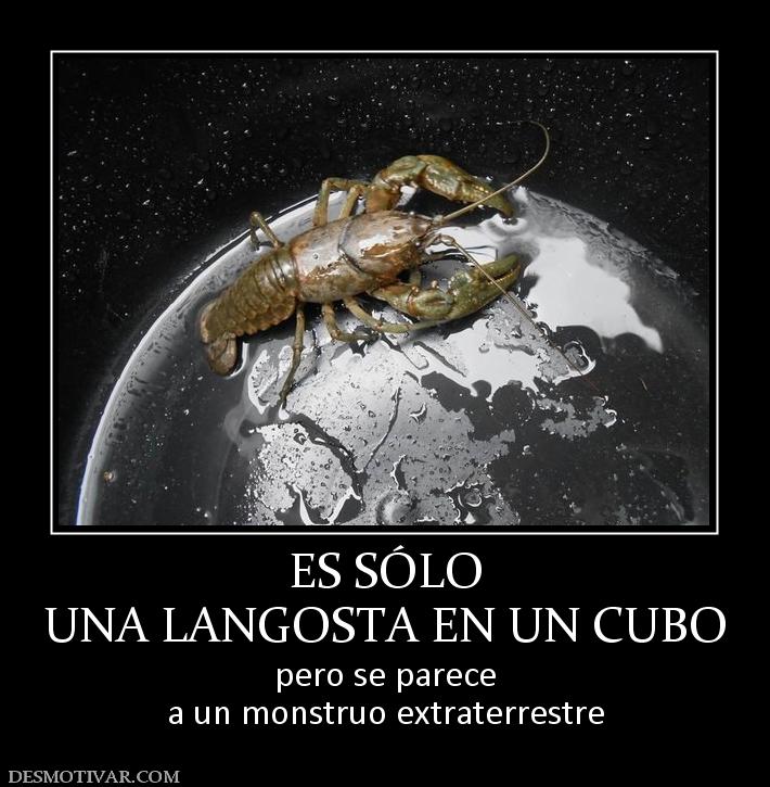 ES SÓLO UNA LANGOSTA EN UN CUBO pero se parece a un monstruo extraterrestre