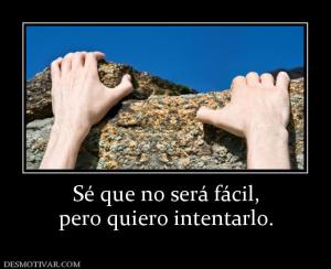 Sé que no será fácil, pero quiero intentarlo.