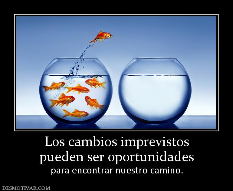 Los cambios imprevistos pueden ser oportunidades para encontrar nuestro camino.