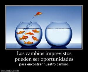 Los cambios imprevistos pueden ser oportunidades para encontrar nuestro camino.