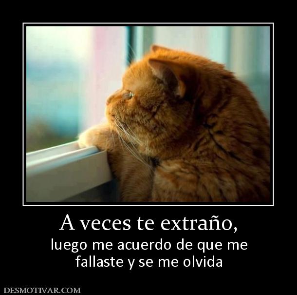 A veces te extraño, luego me acuerdo de que me fallaste y se me olvida