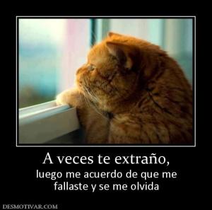 A veces te extraño, luego me acuerdo de que me fallaste y se me olvida