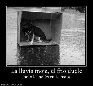 La lluvia moja, el frío duele pero la indiferencia mata