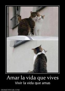 Amar la vida que vives Vivir la vida que amas