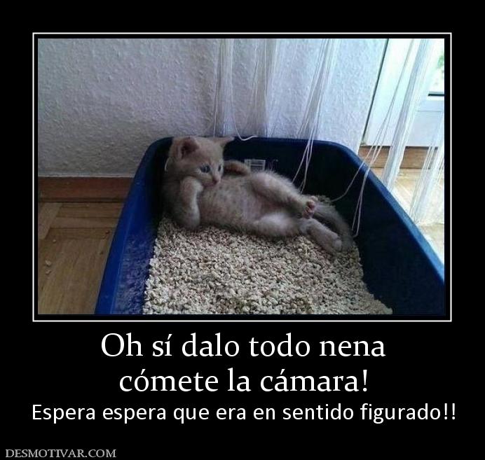 Oh sí dalo todo nena cómete la cámara! Espera espera que era en sentido figurado!!