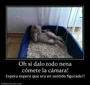 Oh sí dalo todo nena cómete la cámara! Espera espera que era en sentido figurado!!