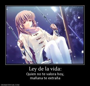 Ley de la vida: Quien no te valora hoy, mañana te extraña