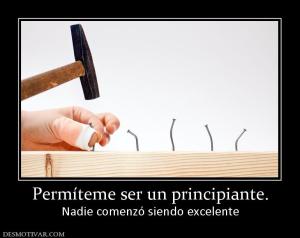 Permíteme ser un principiante. Nadie comenzó siendo excelente