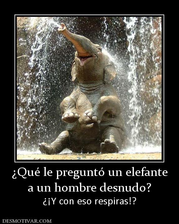 ¿Qué le preguntó un elefante a un hombre desnudo? ¿¡Y con eso respiras!?