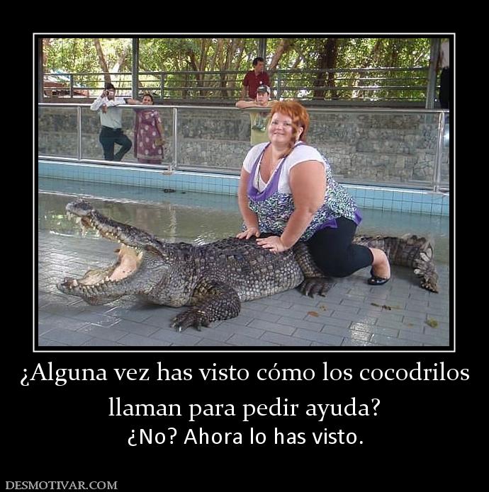 ¿Alguna vez has visto cómo los cocodri llaman para pedir ayuda? ¿No? Ahora lo has visto.