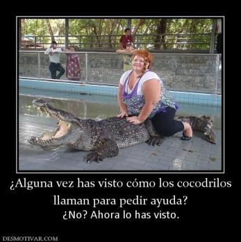 ¿Alguna vez has visto cómo los cocodri llaman para pedir ayuda? ¿No? Ahora lo has visto.