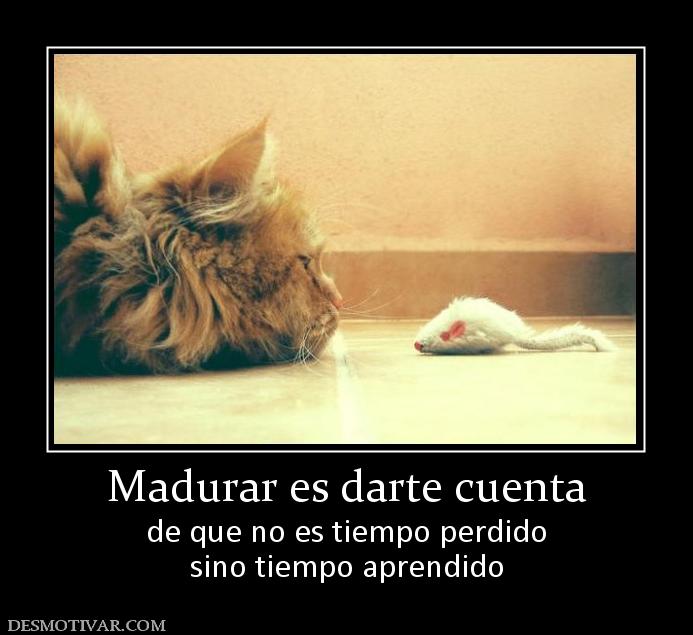 Madurar es darte cuenta de que no es tiempo perdido sino tiempo aprendido