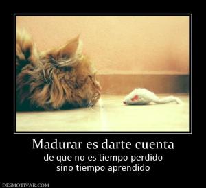 Madurar es darte cuenta de que no es tiempo perdido sino tiempo aprendido