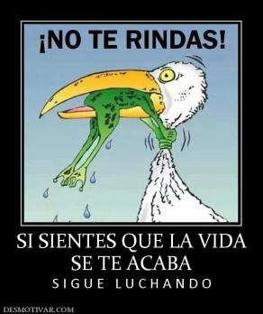 SI SIENTES QUE LA VIDA SE TE ACABA  S I G U E   L U C H A N D O