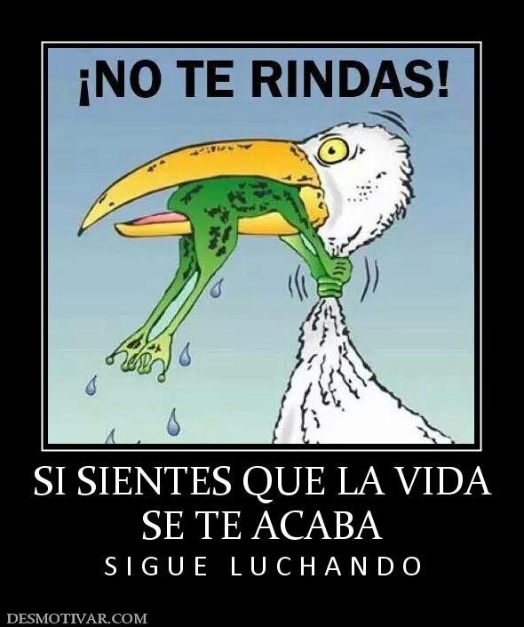 SI SIENTES QUE LA VIDA SE TE ACABA  S I G U E   L U C H A N D O