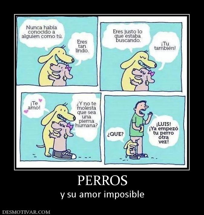 PERROS y su amor imposible