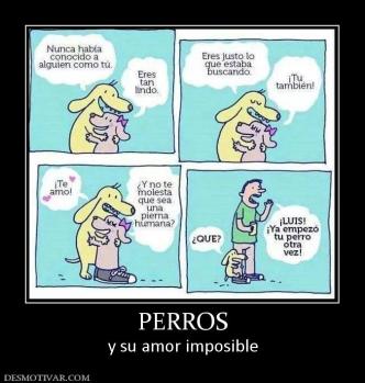 PERROS y su amor imposible