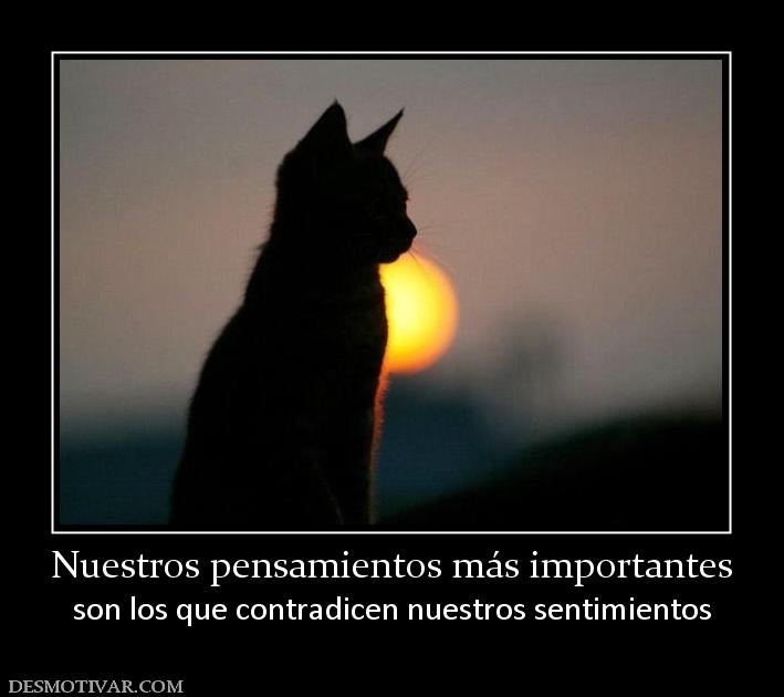 Nuestros pensamientos más importantes son los que contradicen nuestros sentimientos