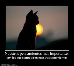 Nuestros pensamientos más importantes son los que contradicen nuestros sentimientos