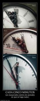 CADA CINCO MINUTOS son masacrados cientos de animales sin que se haga nada (