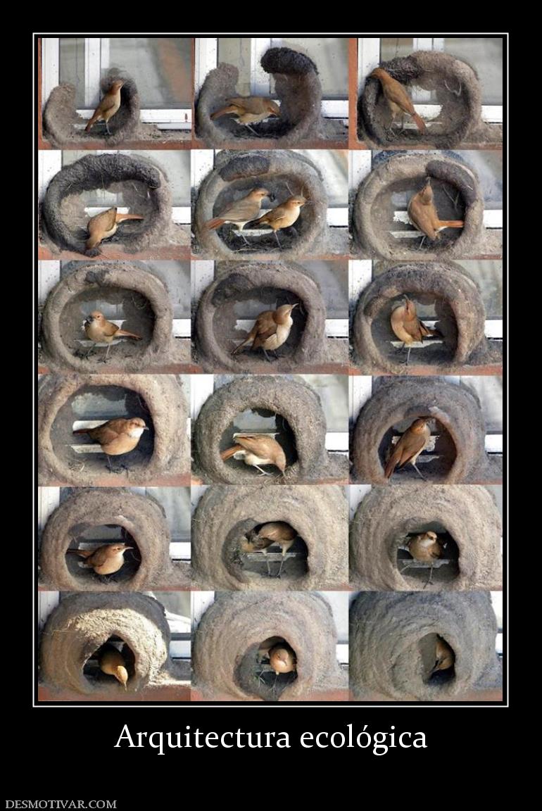 Arquitectura ecológica