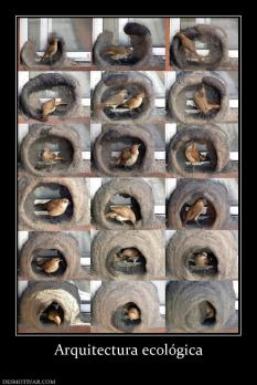 Arquitectura ecológica