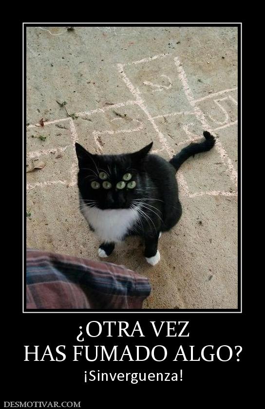 ¿OTRA VEZ HAS FUMADO ALGO? ¡Sinverguenza!