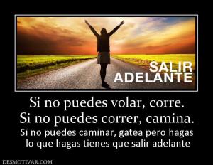 Si no puedes volar, corre. Si no puedes correr, camina. Si no puedes caminar, gatea pero hagas  lo que hagas tienes que salir adelante