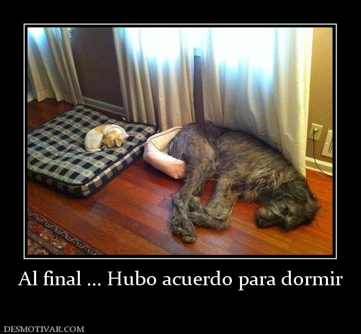 Al final ... Hubo acuerdo para dormir