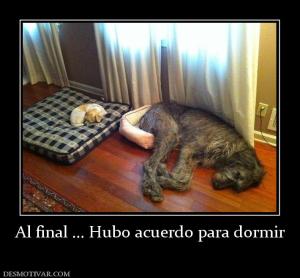 Al final ... Hubo acuerdo para dormir