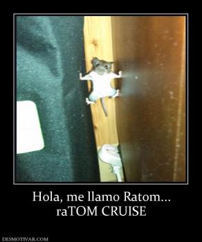 Hola, me llamo Ratom... raTOM CRUISE