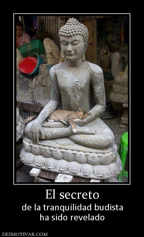 El secreto de la tranquilidad budista ha sido revelado