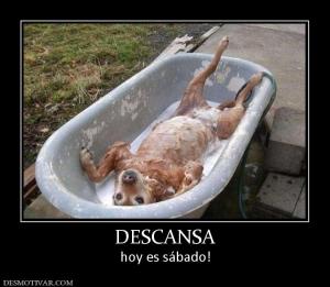 DESCANSA hoy es sábado!