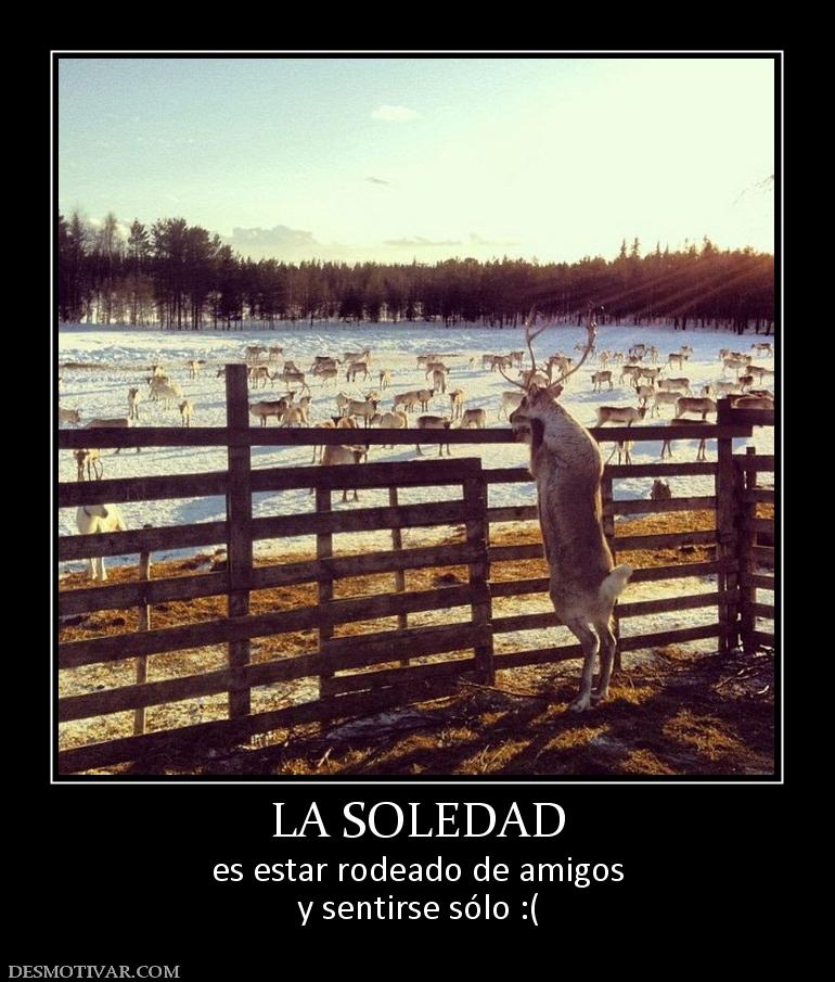 LA SOLEDAD es estar rodeado de amigos y sentirse sólo :(