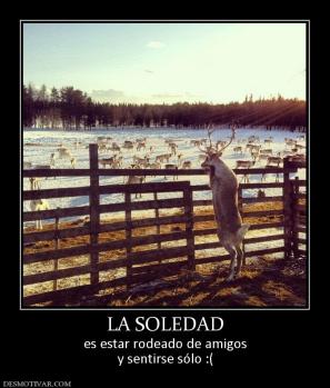 LA SOLEDAD es estar rodeado de amigos y sentirse sólo :(