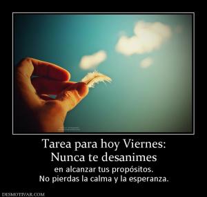 Tarea para hoy Viernes: Nunca te desanimes  en alcanzar tus propósitos. No pierdas la calma y la esperanza.