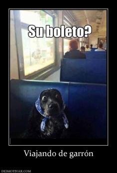 Viajando de garrón