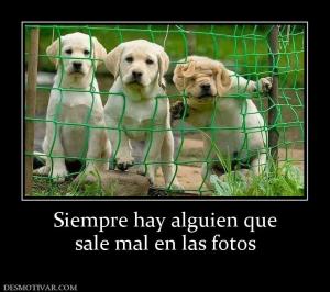 Siempre hay alguien que sale mal en las fotos