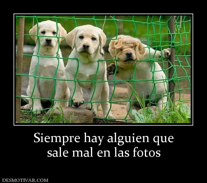 Siempre hay alguien que sale mal en las fotos
