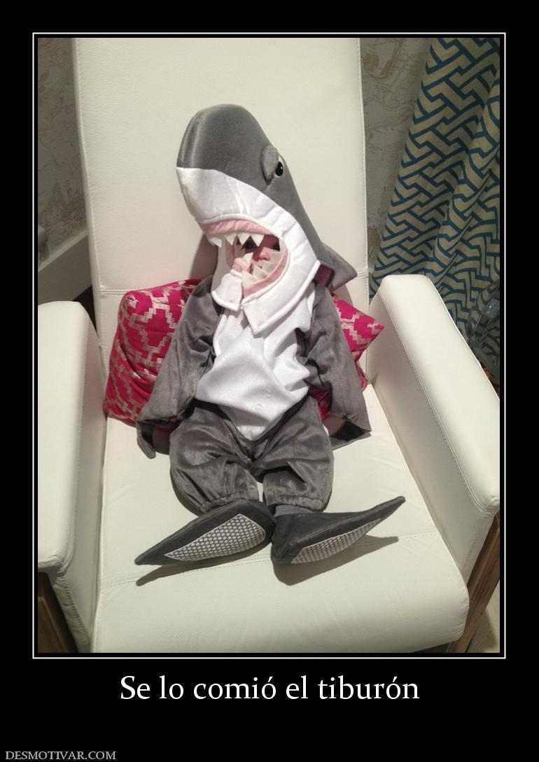 Se lo comió el tiburón