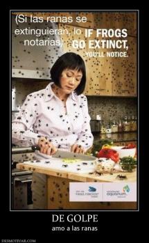 DE GOLPE amo a las ranas