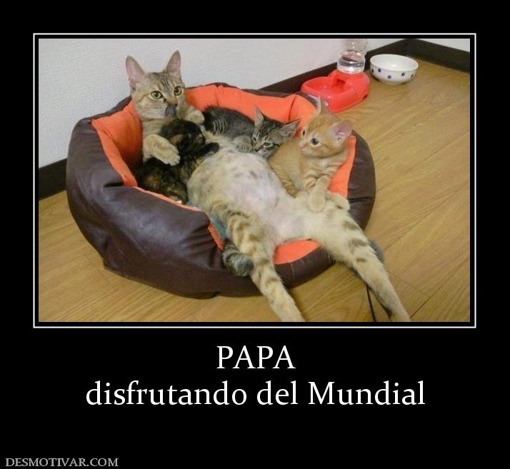 PAPA disfrutando del Mundial