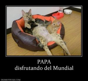 PAPA disfrutando del Mundial
