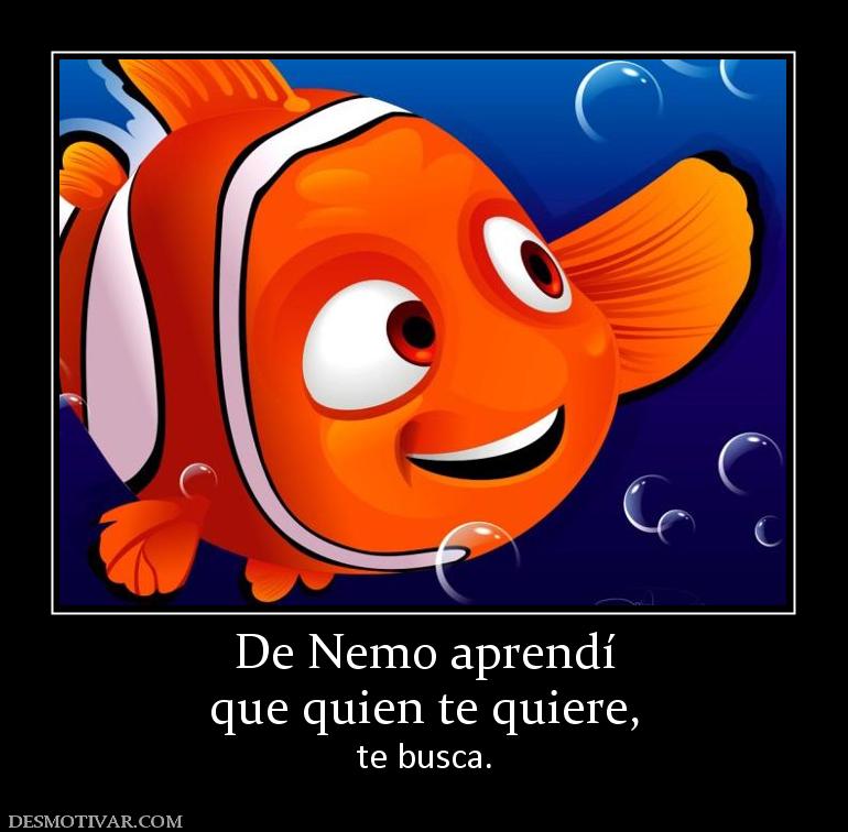 De Nemo aprendí que quien te quiere, te busca.