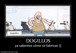 DOGILLOS ya sabemos cómo se fabrican ))