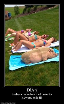 DÍA 7 todavía no se han dado cuenta soy una más )))