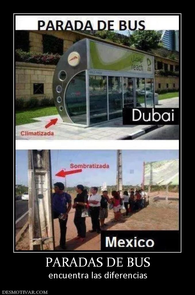 PARADAS DE BUS encuentra las diferencias